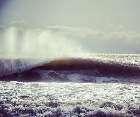 Ocean Chiropractic: Soroka Fred DC
