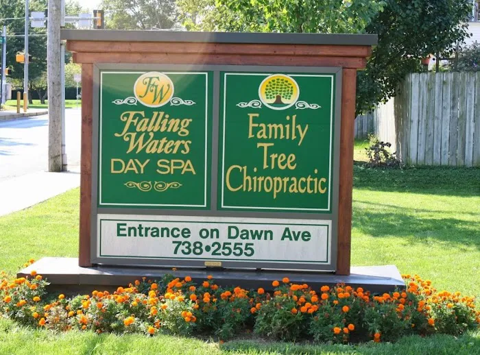 Family Tree Chiropractic Picture 7
