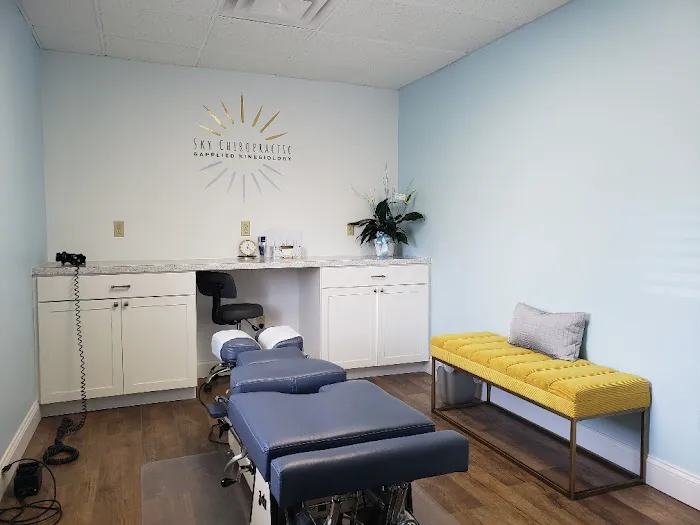 Sky Chiropractic and Applied Kinesiology Picture 1