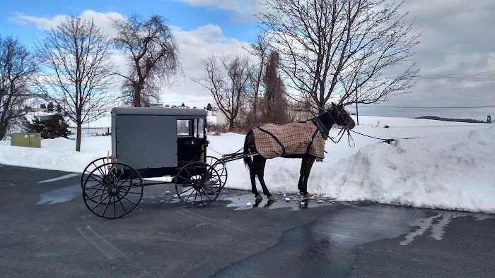 Twin Valley Upper Cervical Chiropractic Picture 1