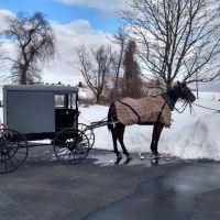 Twin Valley Upper Cervical Chiropractic ico