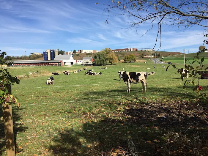 Twin Valley Upper Cervical Chiropractic Picture 4