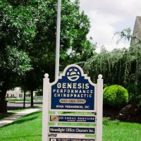 Genesis Performance Chiropractic ico