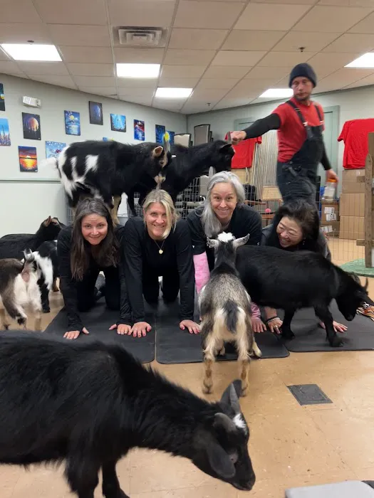 A-Z Chiropractic LLC Picture 4