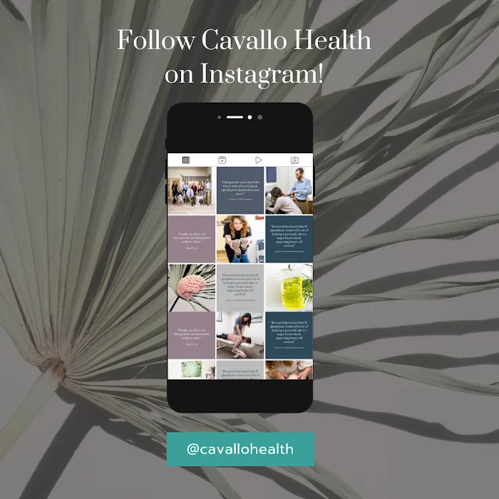 Cavallo Health - New Holland Picture 9