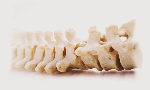 Schatzberg Chiropractic Orthopedic Rehabilitation Center Picture 4
