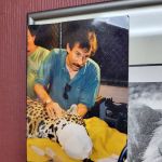 White Horse Chiropractic Center