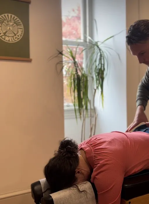 Life Potential Chiropractic Picture 4