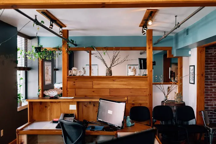OWL Chiropractic Center Picture 3