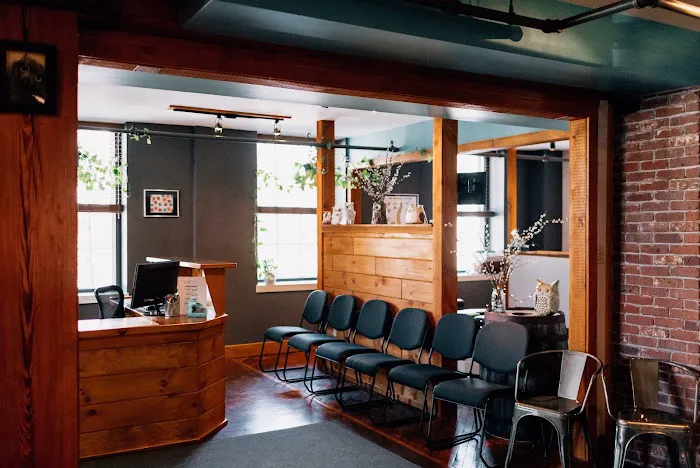 OWL Chiropractic Center Picture 8