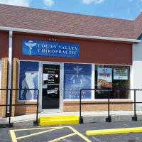Logan Valley Chiropractic ico