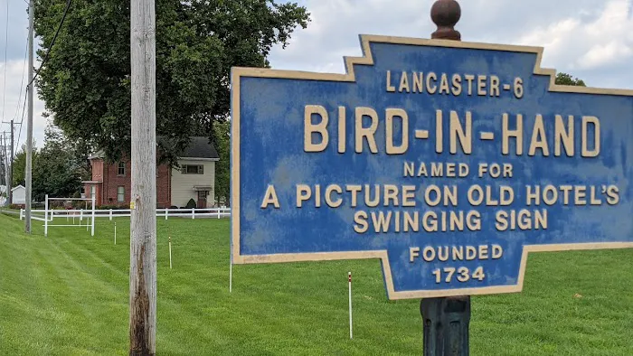 Blue Skies Chiropractic Picture 5