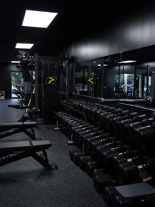 Asylum Sports Performance and Recovery Picture 5