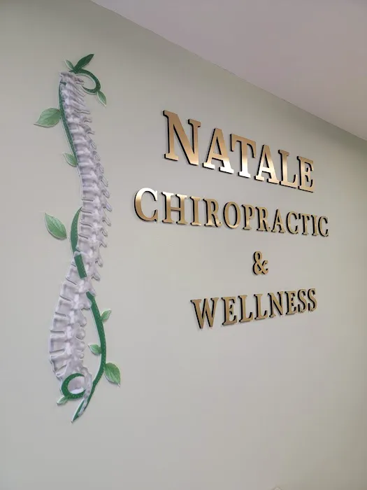 Natale Chiropractic & Wellness Picture 6