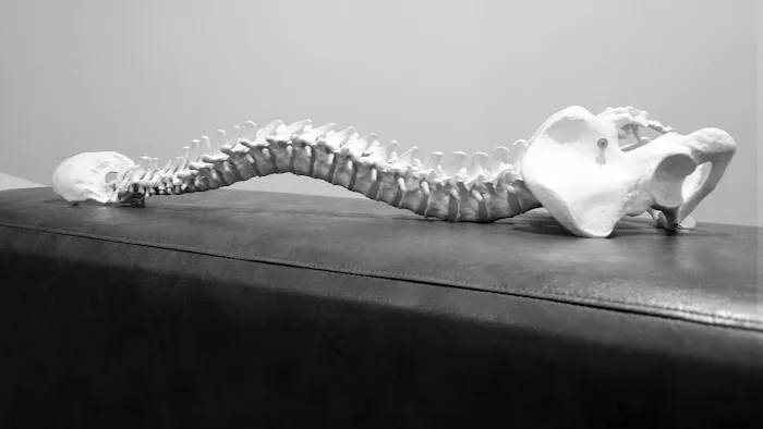 Scatko Family Chiropractic Picture 8