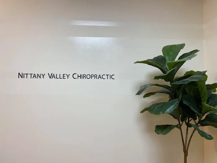 Nittany Valley Chiropractic and Wellness Center Picture 6