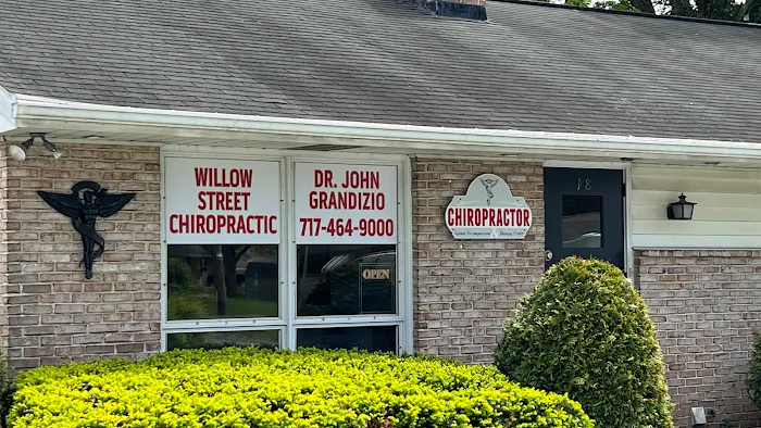 Willow Street Chiropractic Picture 2