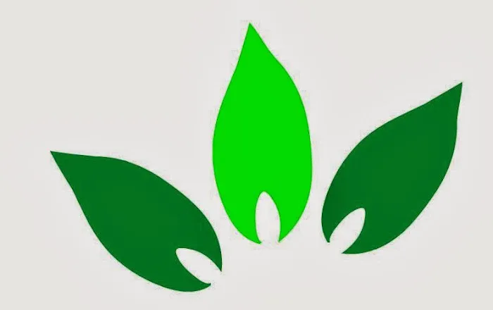 Gentle Health & Wellness Center, LLC Picture 1