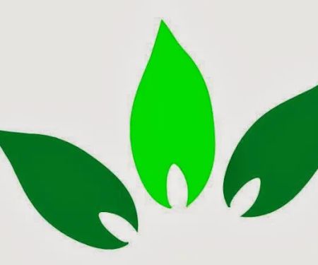 Gentle Health & Wellness Center, LLC