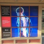 Advantage Chiropractic