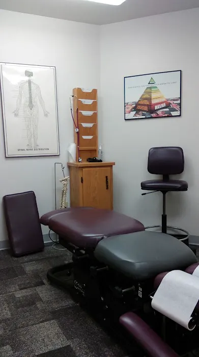 Rizzo & Wiegering Chiropractic Picture 6