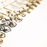 Blue Hen Chiropractic & Wellness PA ico