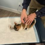 Pike Creek Chiropractic Center