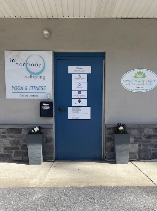 Dr Theresa Andraos LLC Picture 1