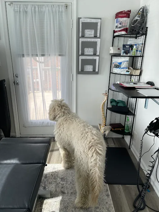 Epoch Chiropractic Picture 7