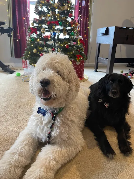 Epoch Chiropractic Picture 9