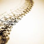 Cooke Family Chiropractic
