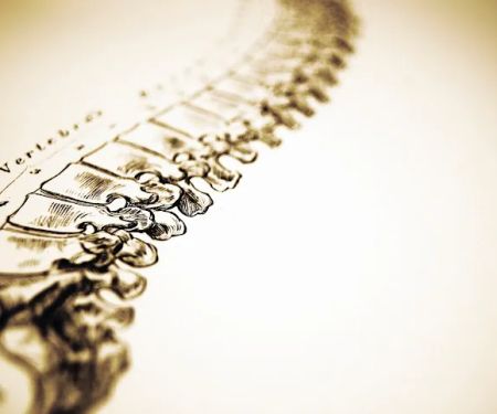 Cooke Family Chiropractic