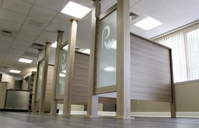 Pure Wellness Chiropractic Picture 8