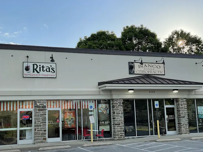 Disc Centers of America Garnet Valley/Bianco Family Chiropractic Picture 1