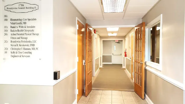 Back to Health Chiropractic Picture 9