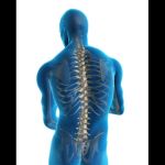 Glassboro Chiropractic Center