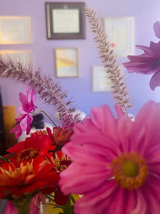 SK Chiropractic Picture 5