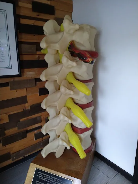 Probe Chiropractic Picture 7