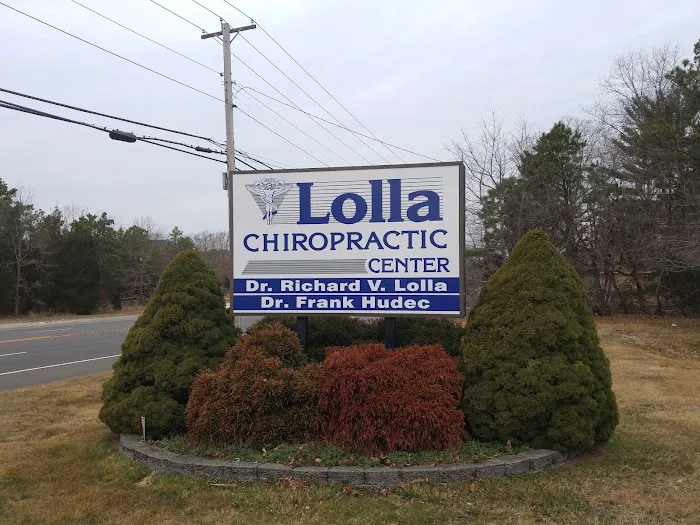 Lolla Chiropractic Picture 2