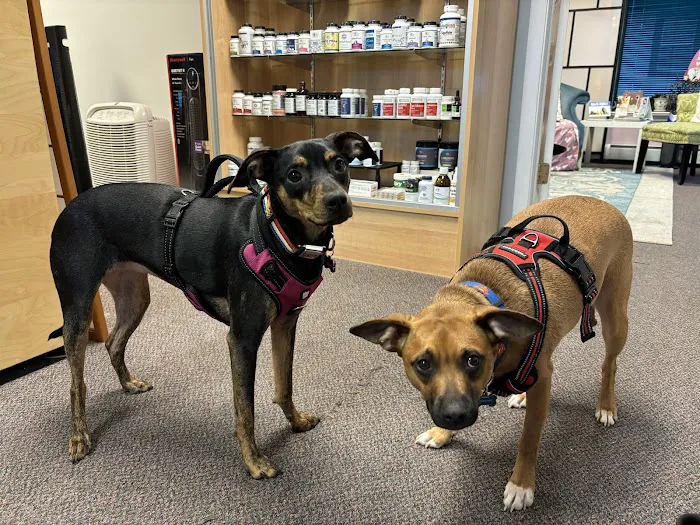 Athena Chiropractic Picture 6