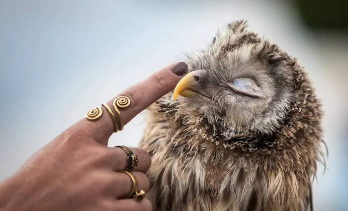 Dr. Karen Feeney Picture 1