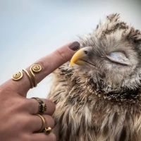 Dr. Karen Feeney ico