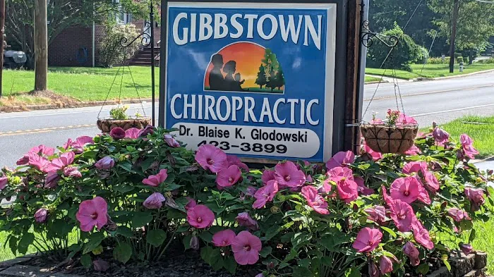 GIBBSTOWN CHIROPRACTIC CENTER Picture 3