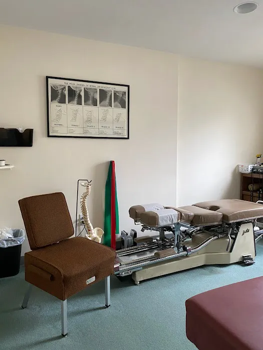DIBARTOLO CHIROPRACTIC Picture 2