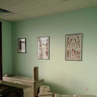 Gower Family Chiropractic ico