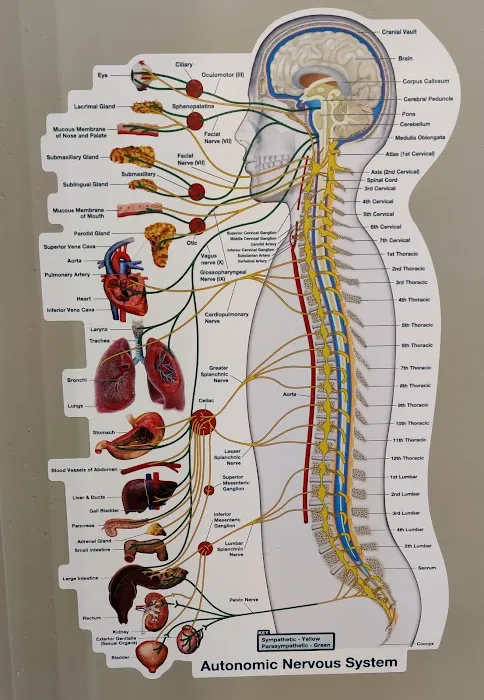 Omaha Central Chiropractic Picture 7