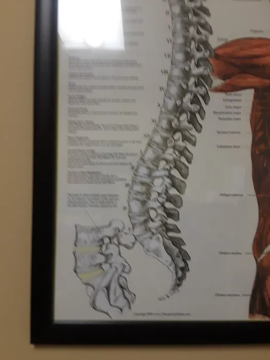 Hoogeveen Chiropractic Wellness Center Picture 4