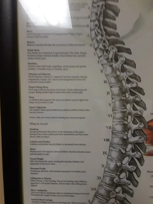Hoogeveen Chiropractic Wellness Center Picture 9