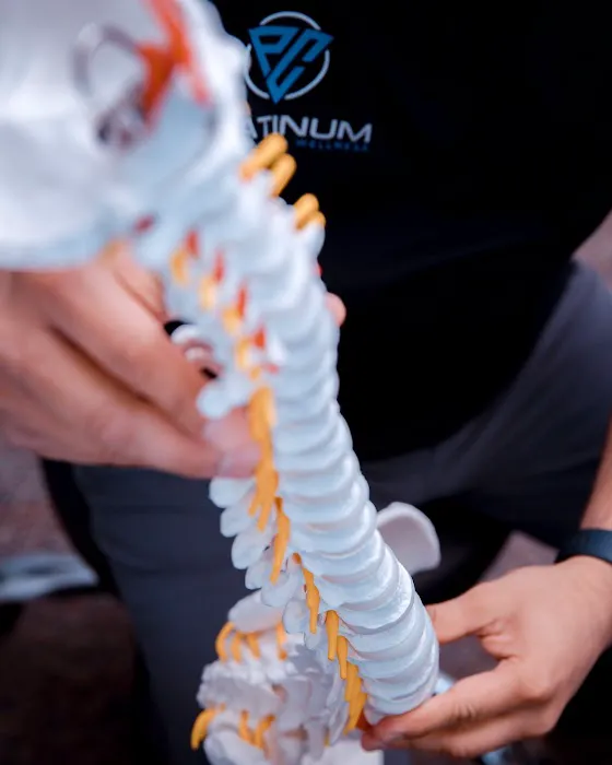 Platinum Chiropractic + Wellness: Vinay Panchal, D.C. Picture 4