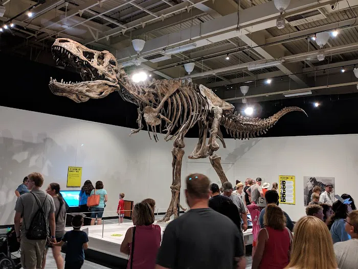 Richard C. Steskal, DC Picture 2